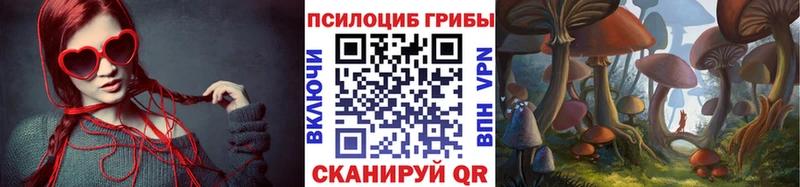 Галлюциногенные грибы мухоморы  продажа наркотиков  hydra онион  Киселёвск 